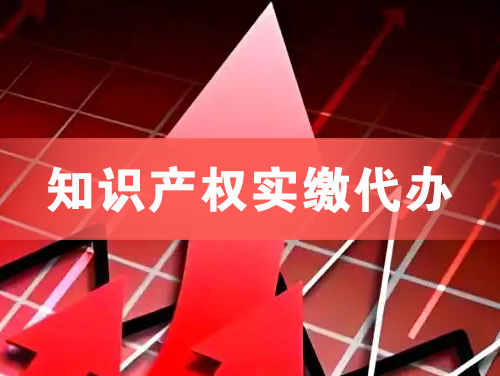 枣阳知识产权实缴资本代办